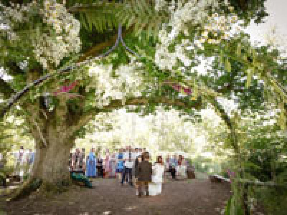 Wedding at Coombe Farm Woods in Devon