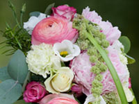 Flowers Going Green