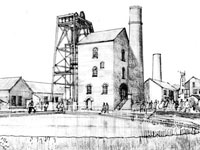 Heartlands Cornwall