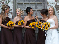Linda Ellis Photography
