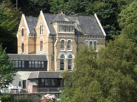The Elmfield
