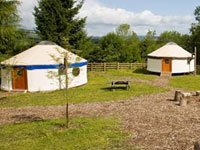 Yurt Camp, Gorse Blossom Farm