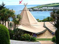 The Rosevine