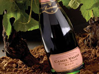 Experience Wine