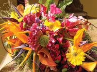 Wheal Sara Flowers