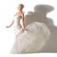 The Wedding Company