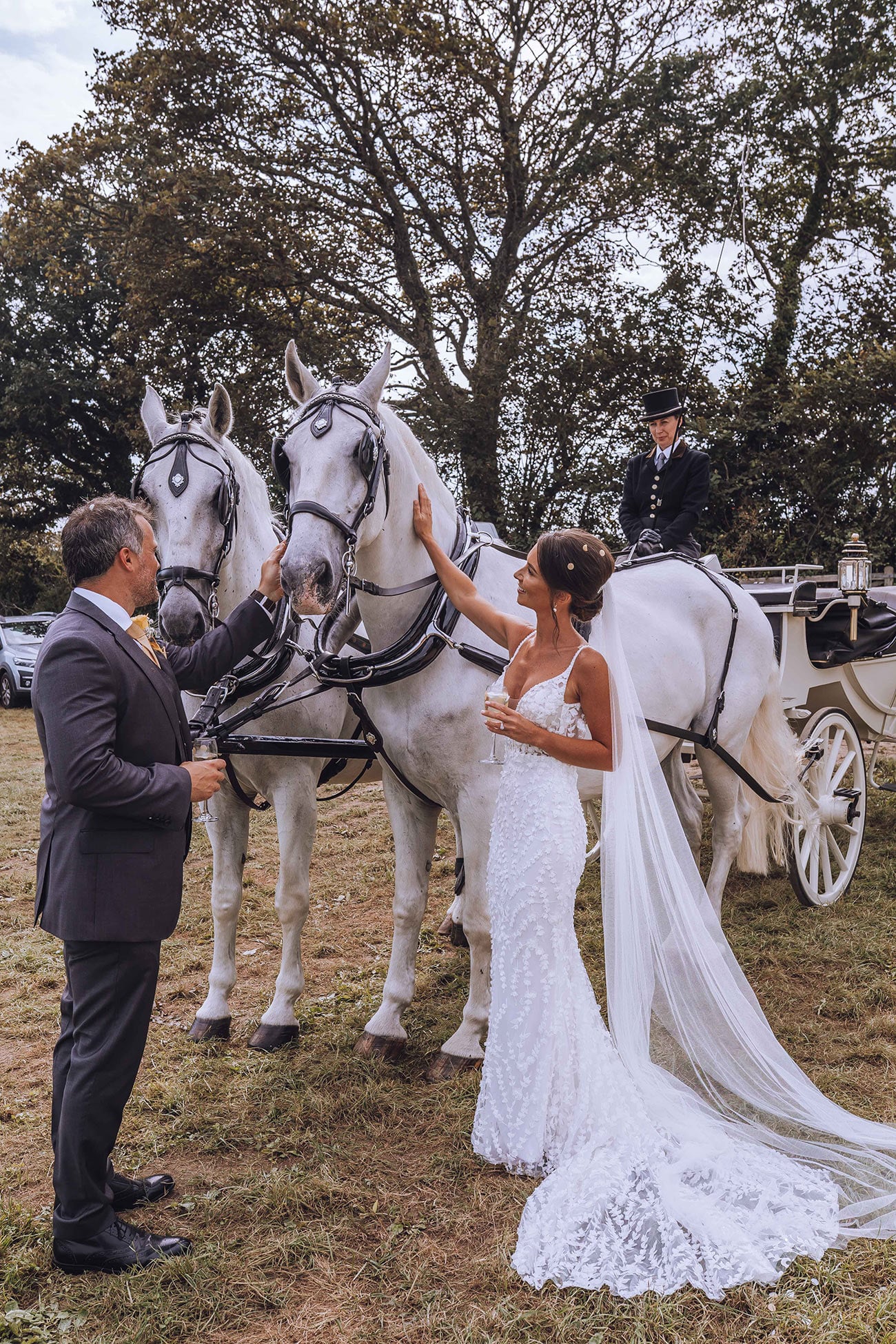 Bride and groom stroke the two white horses that pull the carriage 