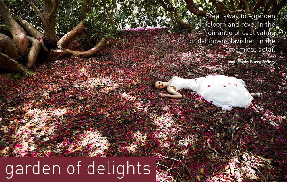 Wedding Dresses Devon | The Bridal Box | The Bridal Rooms of Wellswood | Barry Jeffery Photography