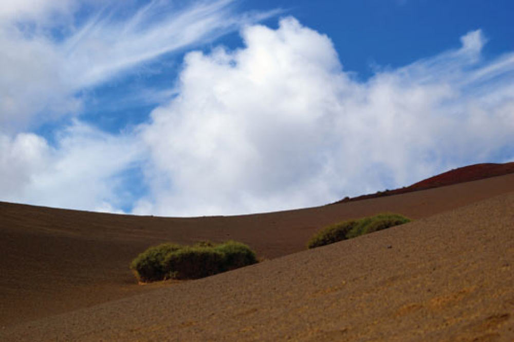 Honeymoons: Canaries - Lanzarote