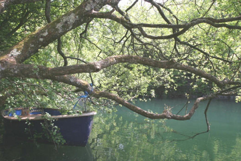 Honeymoons in Cornwall