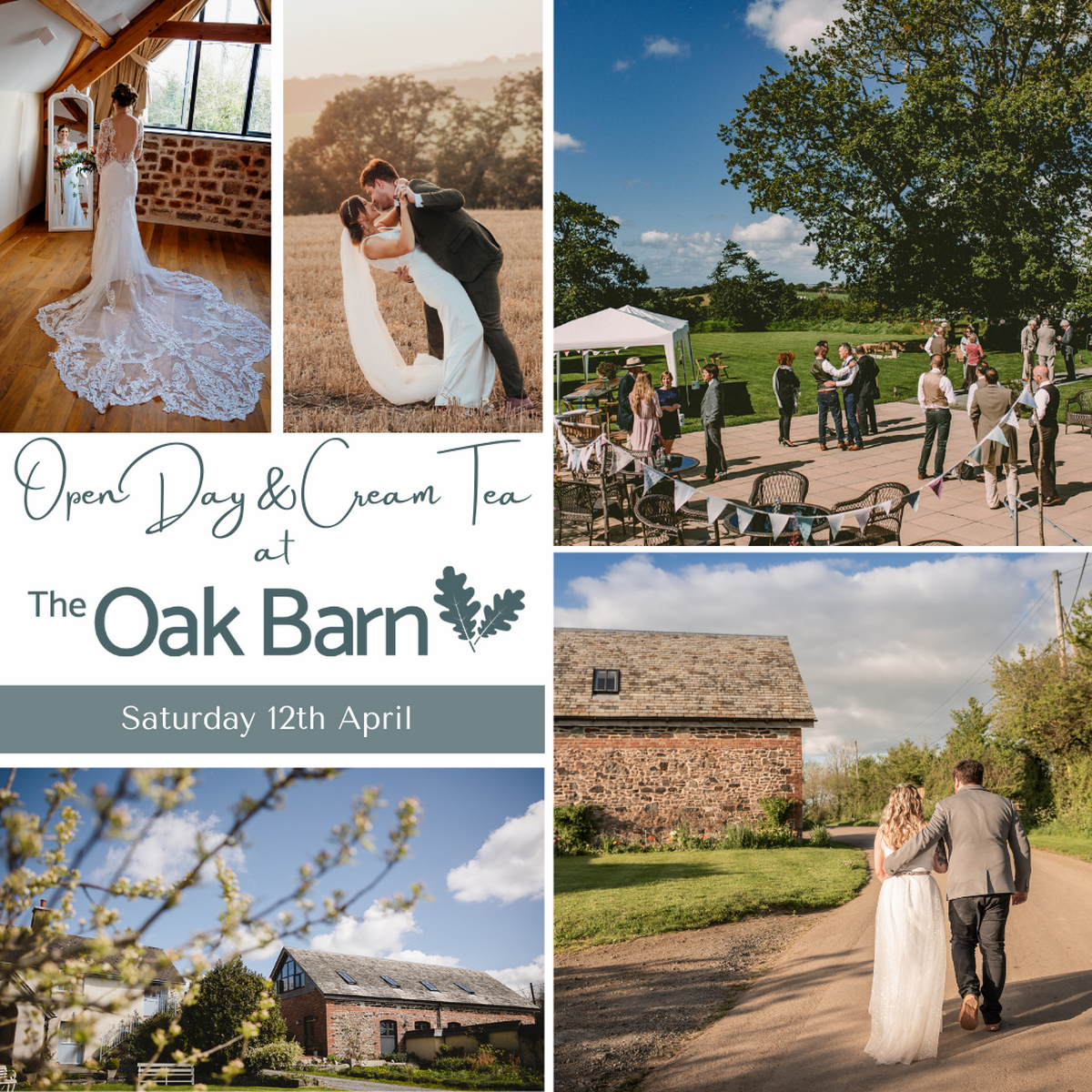 Open day and cream tea at The Oak Barn