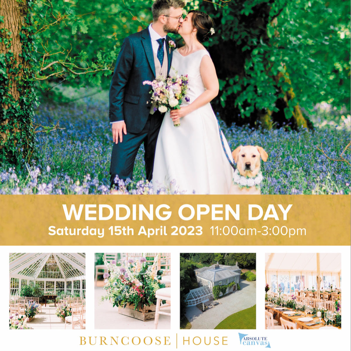 Open day at Burncoose House