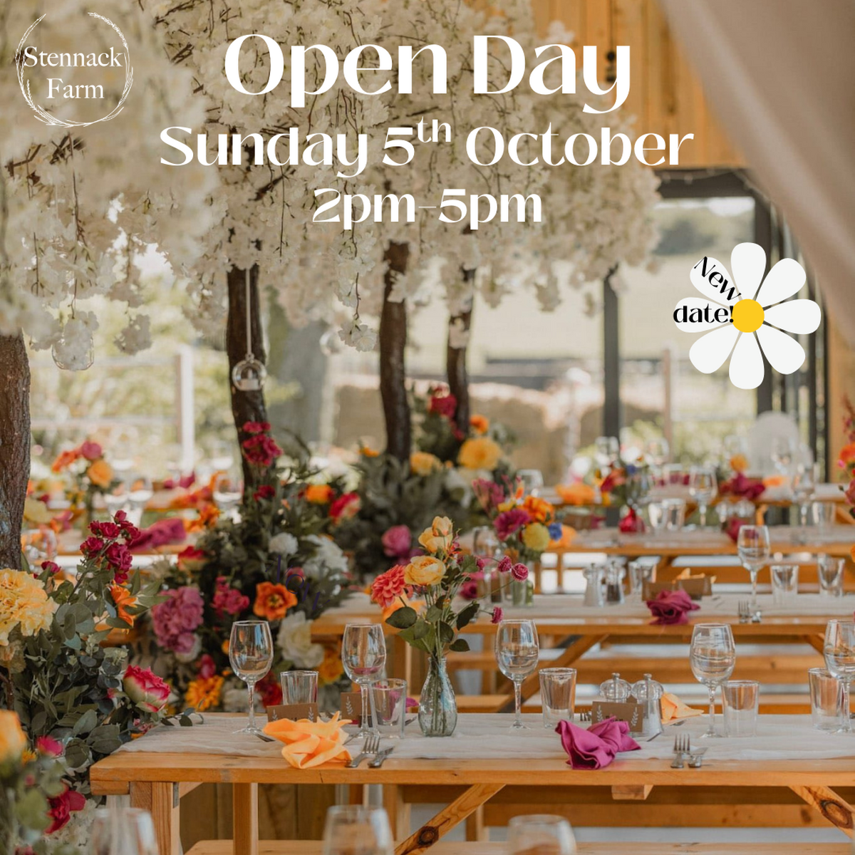 Stennack Farm Open Day