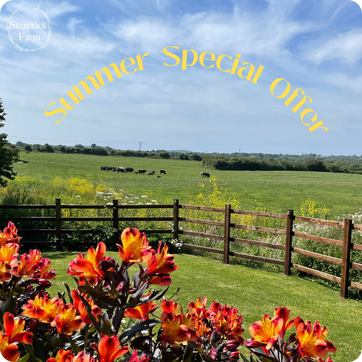 Special summer offer at Stennack Farm