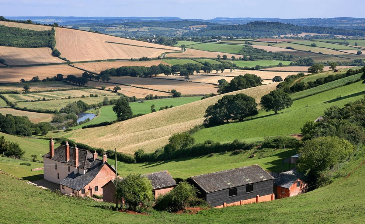 Introducing Exe Valley Weddings