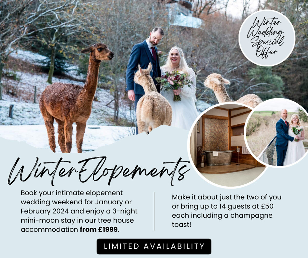 Winter wedding offer at Tree Top Escape