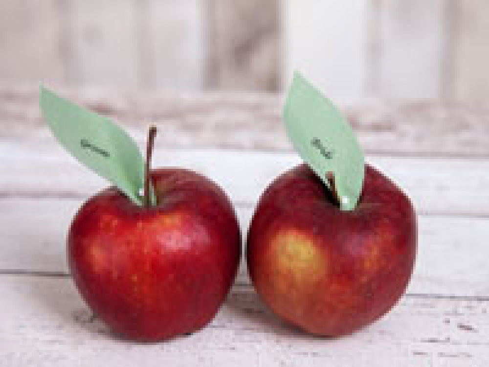 Wedding Reception Ideas - Apples