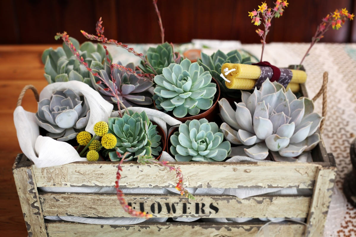 Garden Party Weddings