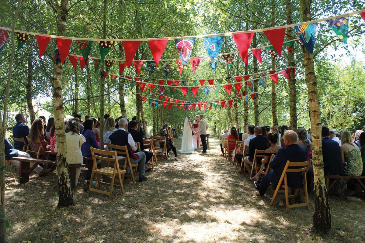 Introducing Higher Holcombe