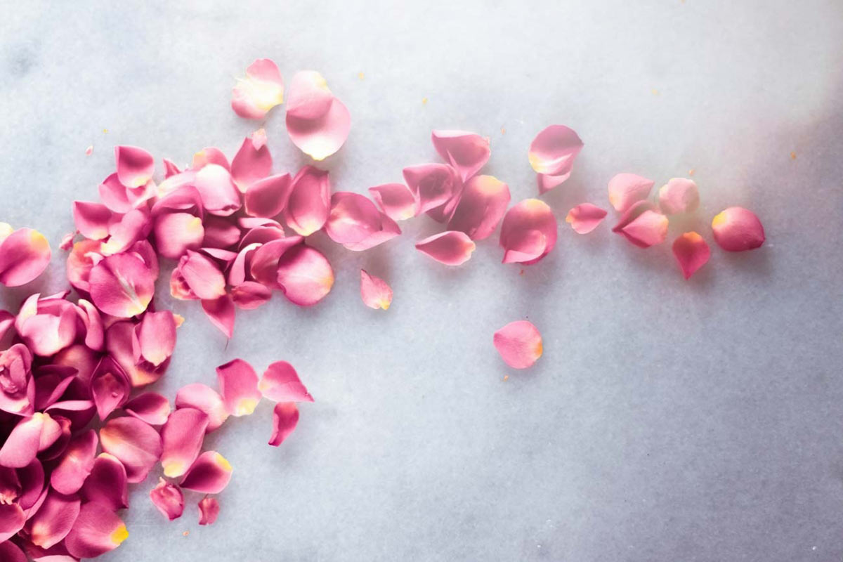 Get clued up with Wed's compendium of petals