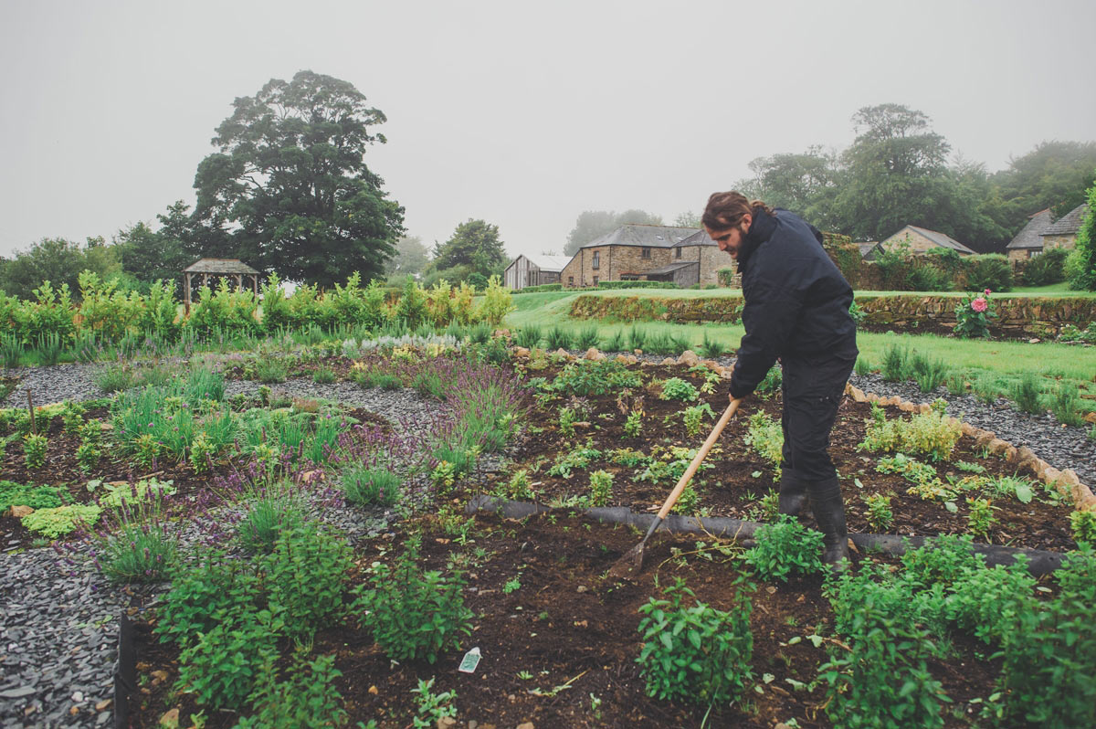 Plant-based Wedding Menus