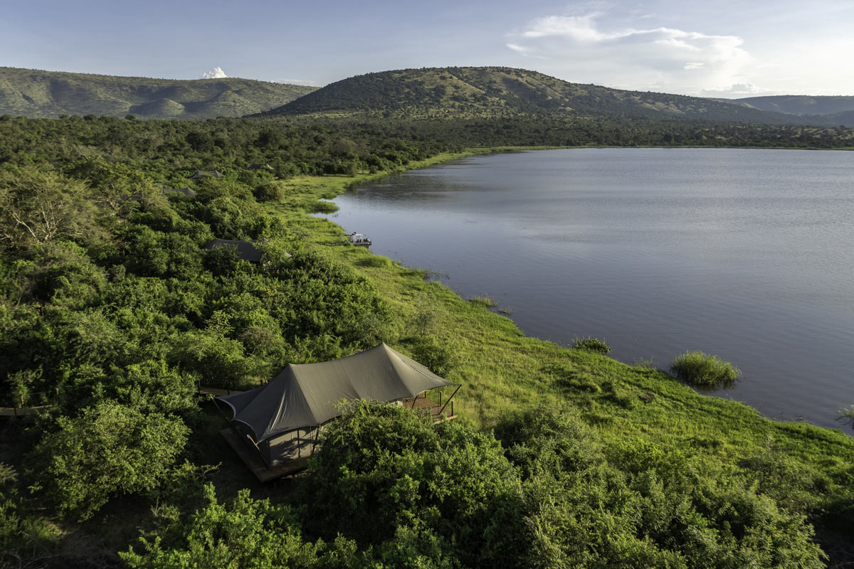 Safari honeymoon in Africa