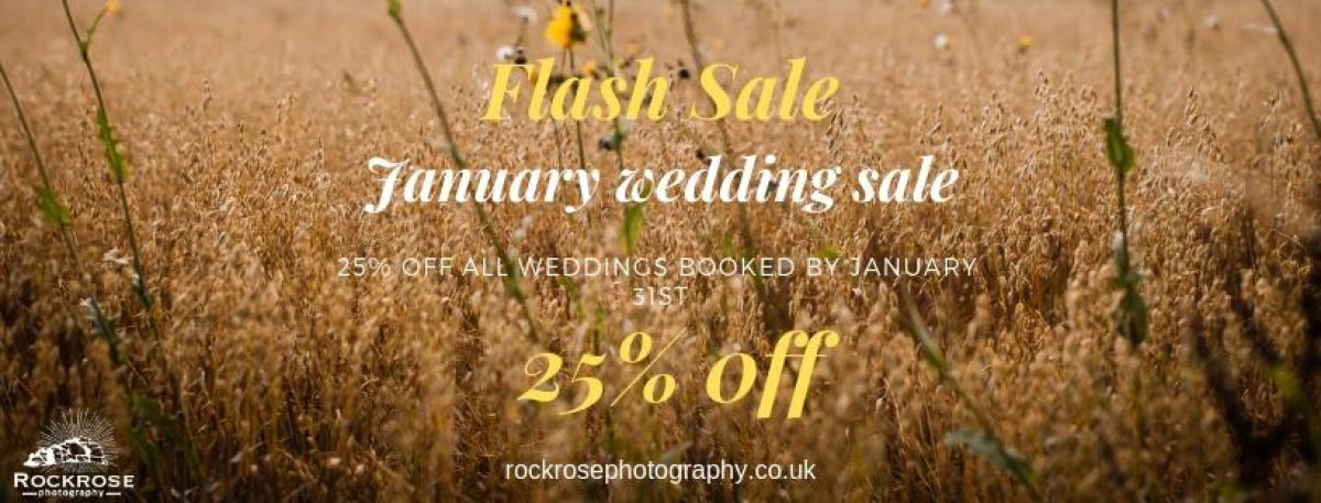 Flash sale at Rockrose Photography