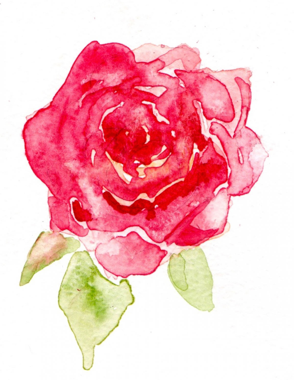 Wed's guide to wedding flowers
