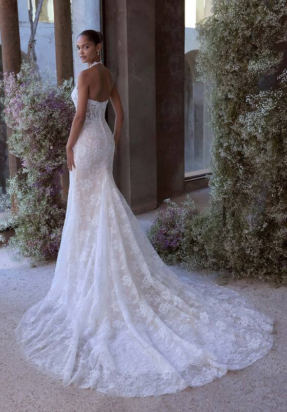 Huge Discounts at Frocks & Frills