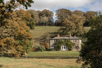 The dreamy climes of Boconnoc