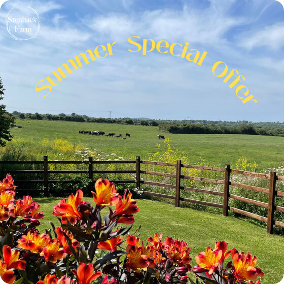 Special summer offer at Stennack Farm