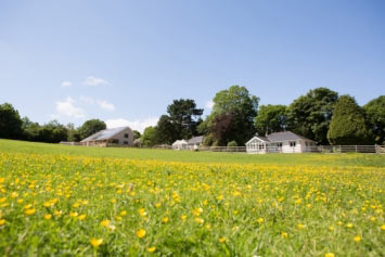 Holiday or Honeymoon in Cornwall