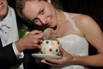 Stories of utterly unique weddings