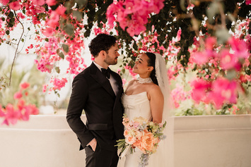 Wedding at The Eden Project, Cornwall