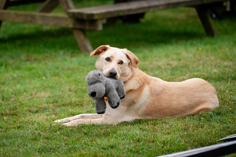 Charlotte Atherton Photography - small_CharlotteAthertonWeddingPhotographyCA1_3403.jpg