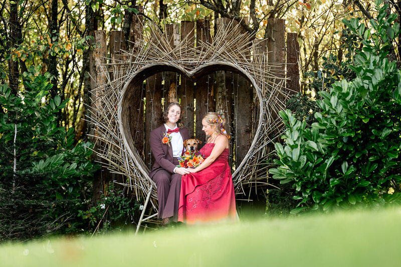 Tree Top Escape Devon Wedding Venue