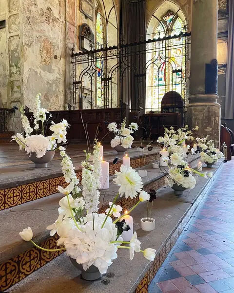 Forest and the flowers