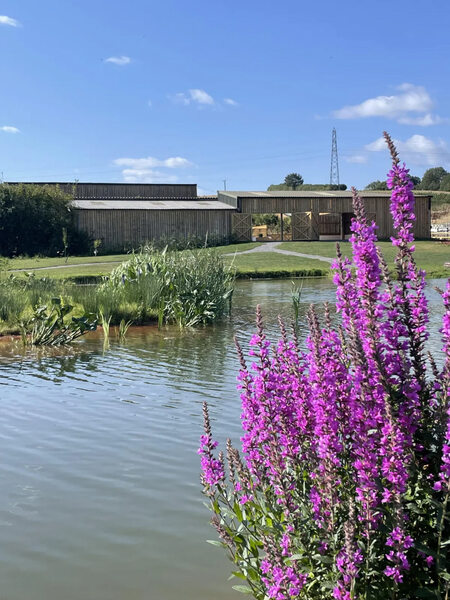 Bow Grange - small_WeddingVenuesDevonBowGrange2.jpg