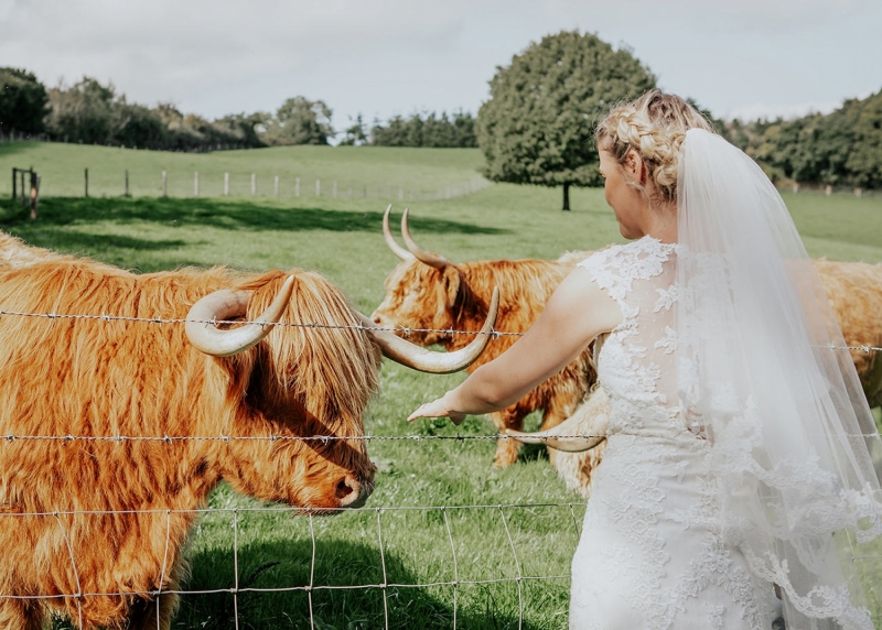 Wooladon Estate - small_WeddingVenuesDevonWooladon-154.jpg