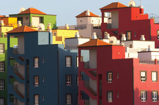 Canaries 326624 High