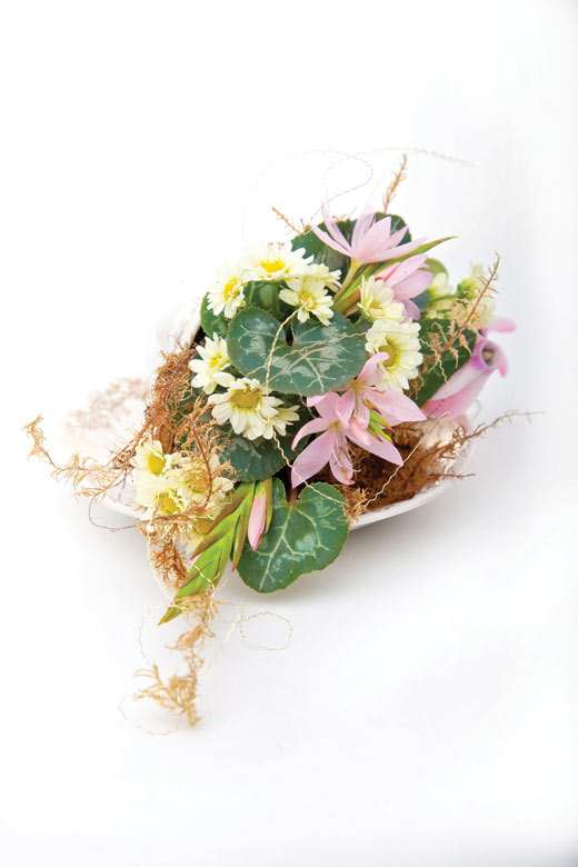 ECO BRIDE BenPhohy 4074