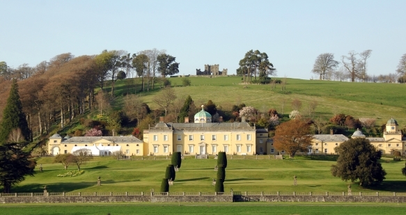 Photomagicgardenpics100