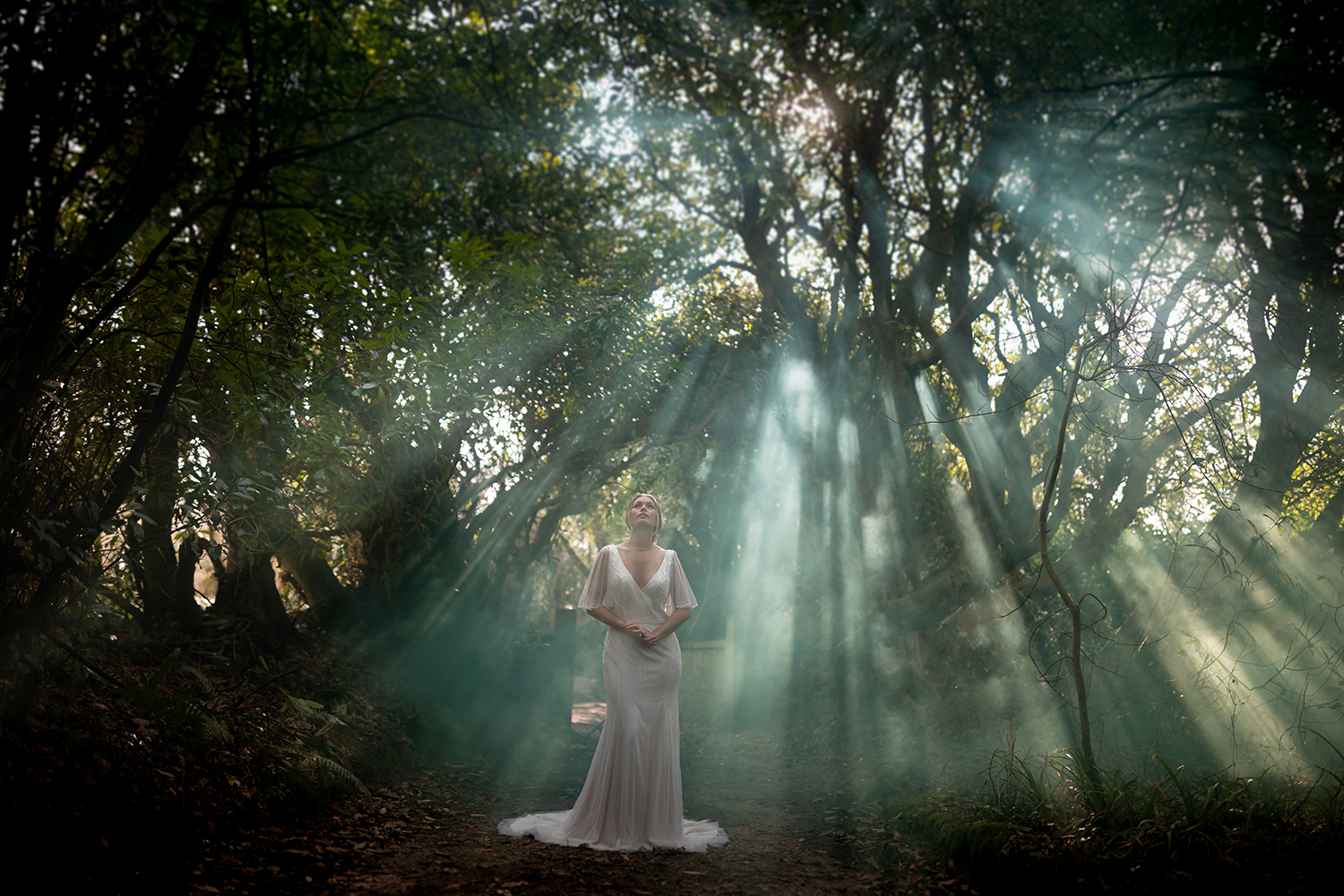 Thomas Frost Photography 234