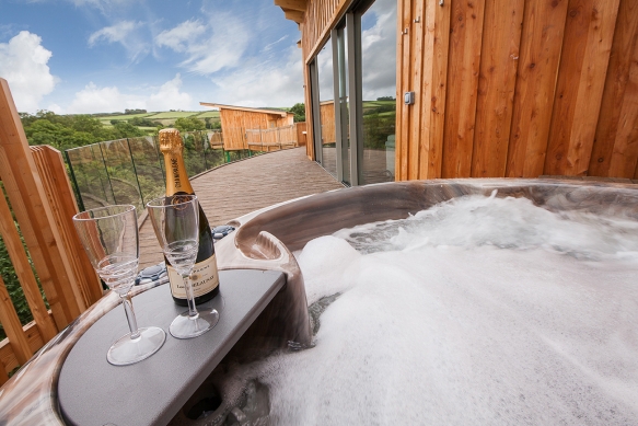 Wedding Venues Devon Tree Top Escape(3of13)