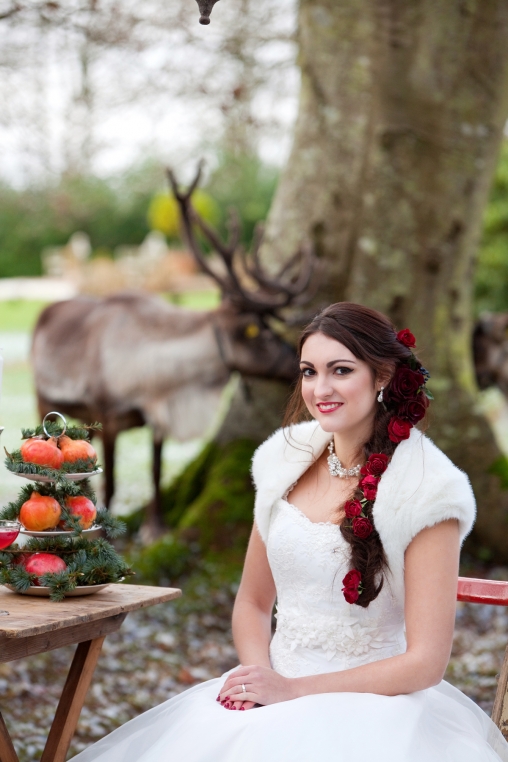 Deerparkwinter2012 56