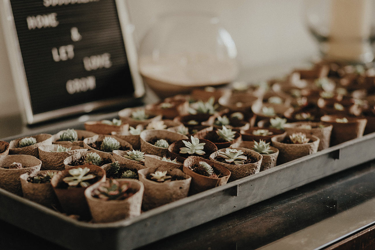 Real Wedding Scoorier House Cornwall Wed Bride Groom3