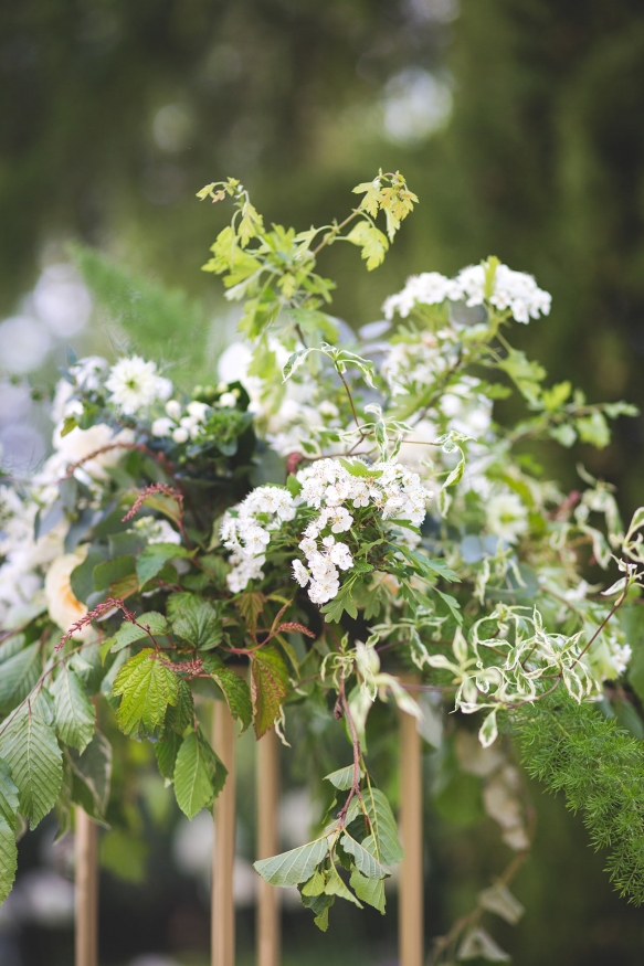 Venetianorrington DPvogueshoot 225