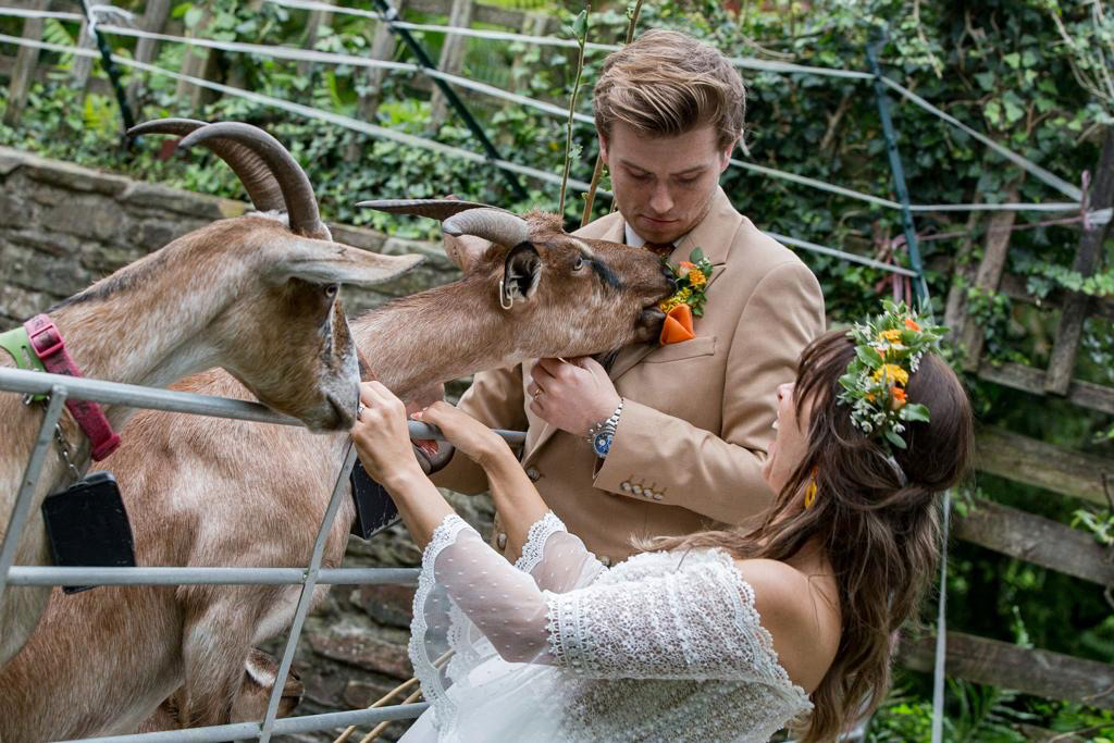 229687f3 D78c 42c0 913c 18504d004be6