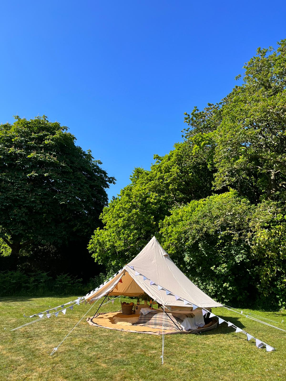 Bf C255 4346 90f3 2ed3d3f93658