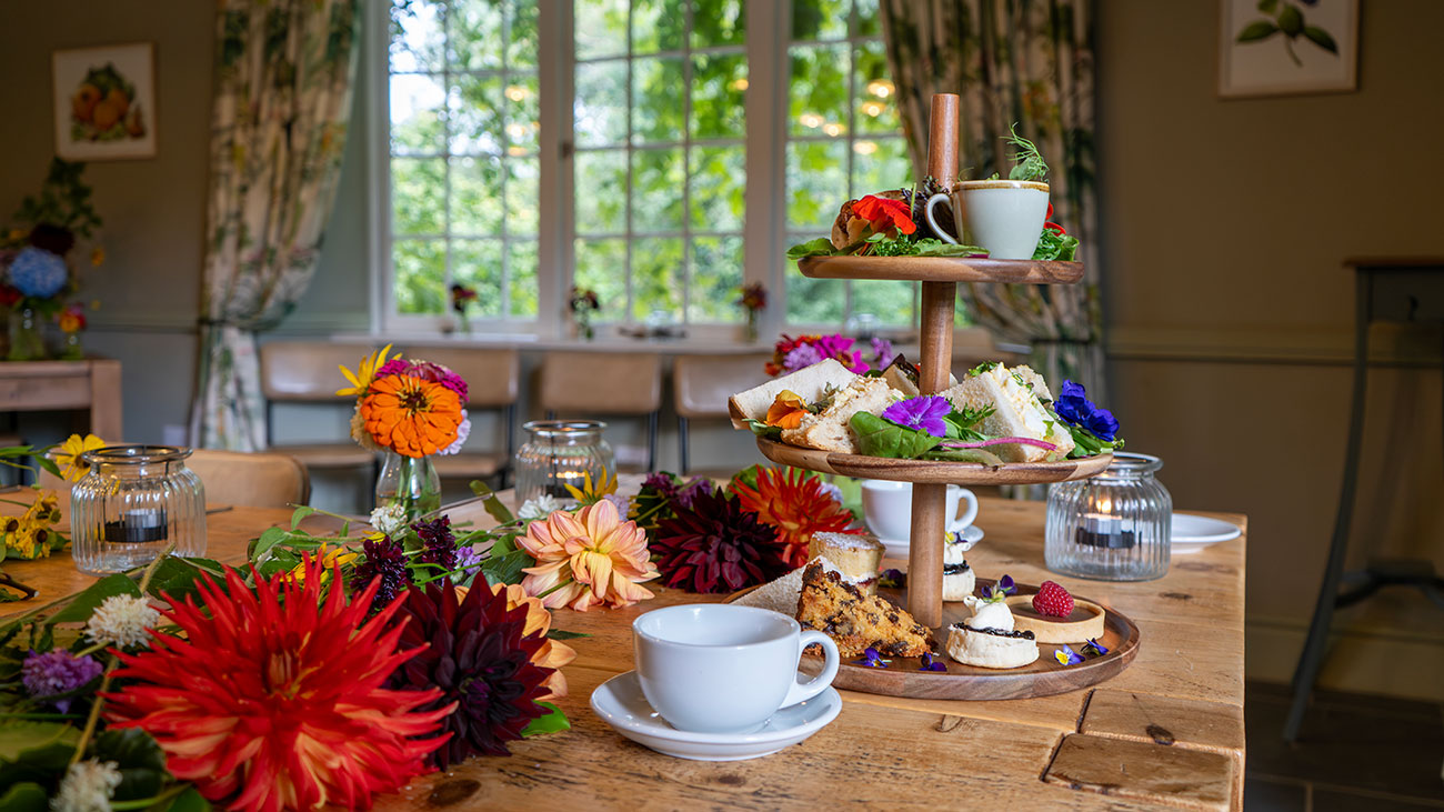 Afternoon Tea Heligan Elopement Wedding Cornwall 04092401